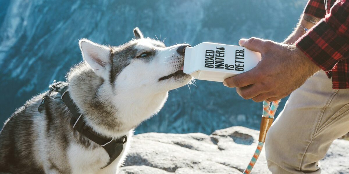 First TDY: Complete Checklist for New Travelers